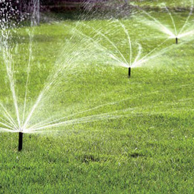 Drip Irrigation in Mumbai