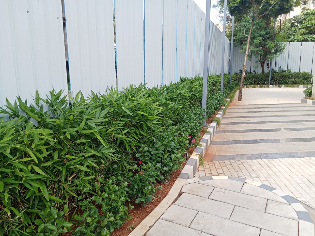 WhatsApp Image 2023-09-12 at 15.03.51