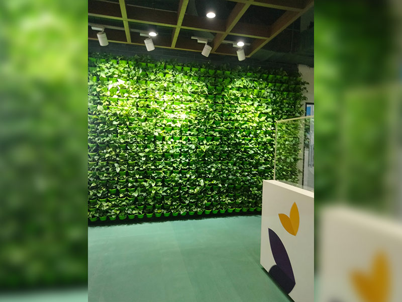 Green Wall Setup in Mumbai