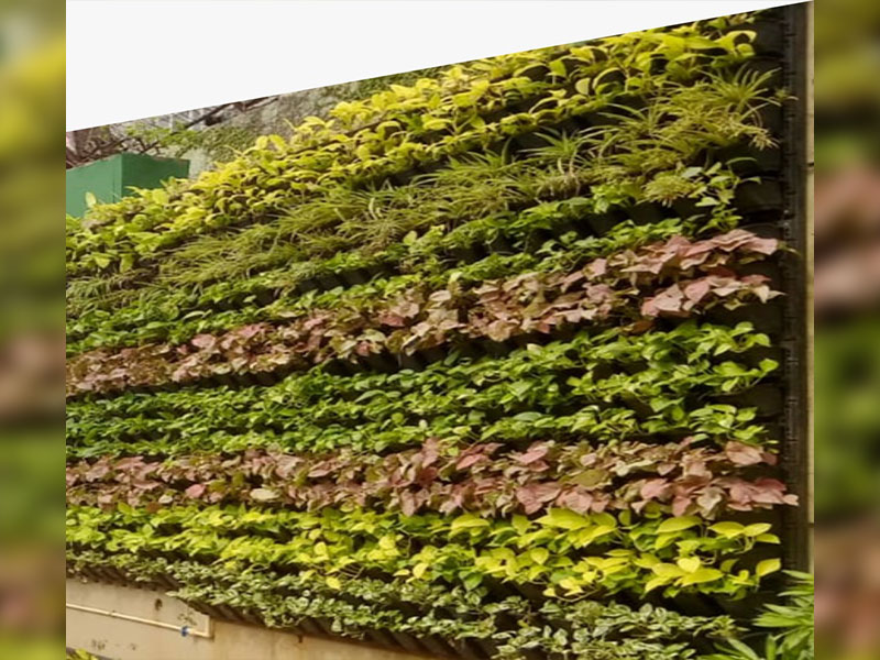 Read more about the article Green Wall Setup in Mumbai